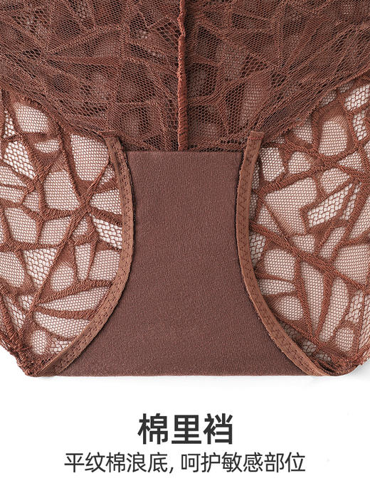 HSIA遐全蕾丝平角裤秋冬新品美拉德静奢风性感微包臀薄款内裤女 商品图4