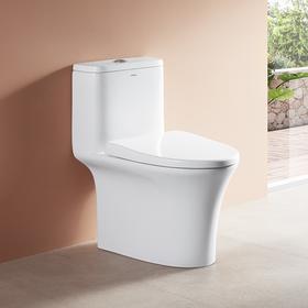 箭牌（ARROW） 箭牌虹吸马桶家用节水静音易洁釉面喷射旋冲连体坐便器AB1605 AB1605 300坑距