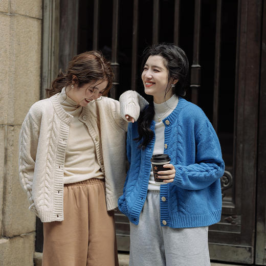 绽放769朵/五色16支双股加厚100%澳洲美利诺羊毛开衫针织绞花毛衣 商品图0