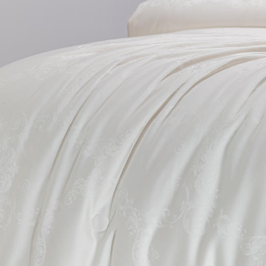 6F堂皇铂金大豆纤维被二代 商品图2