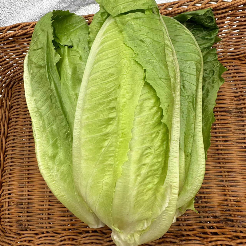 【自营】高原有机罗马生菜 250g  ±10g