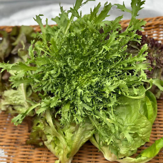 【自营】高原有机沙拉菜 200g  ±10g 商品图0