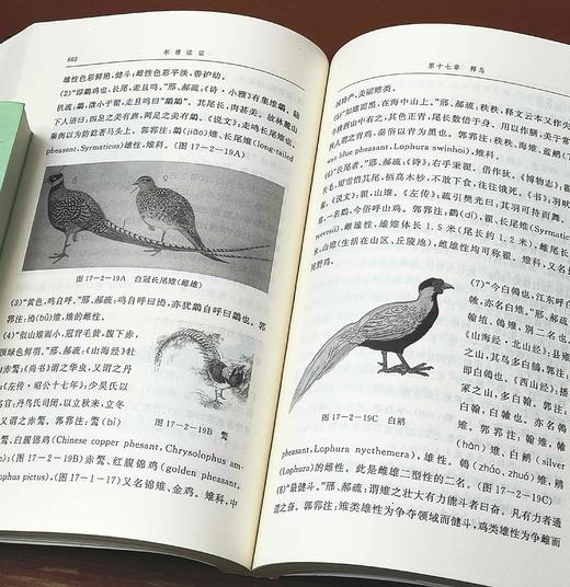 《尔雅注证》上下册 郭郛著 商品图11