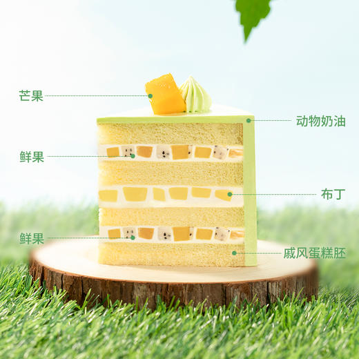 【99%小孩都喜欢】童趣森林蛋糕，欢迎加入森林派对（汕尾） 商品图3