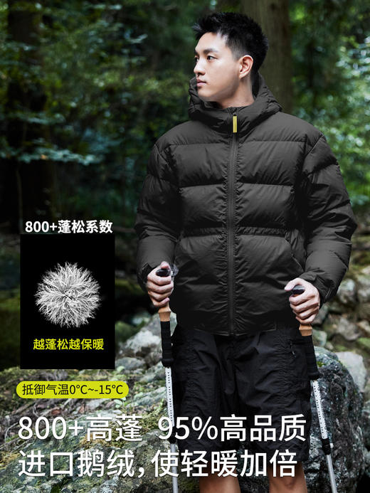 Naturehike挪客800蓬户外轻薄连帽羽绒服男款新款鹅绒羽绒外套女 商品图3