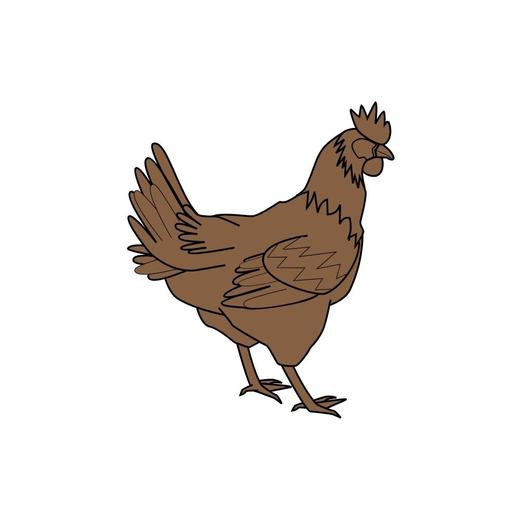 森林自养土鸡 商品图0