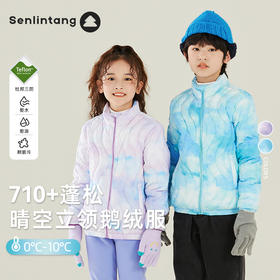森林棠2023儿童冬季羽绒服晴空立领羽绒服61534010