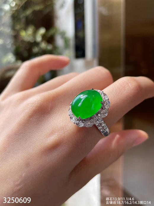 老坑玻璃种艳绿蛋面戒指【3250609】具体价格微信咨询 商品图3