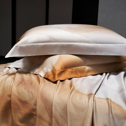 6F堂皇 140支长绒棉流沙幻影四件套 商品图2