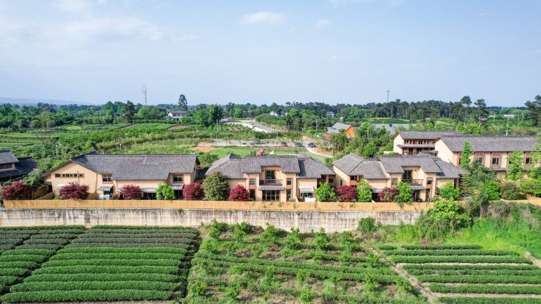 【蒲江明月村-133号院】单房、3房、7房小院。在这里你可以拥有最悠闲自在的时光DZ