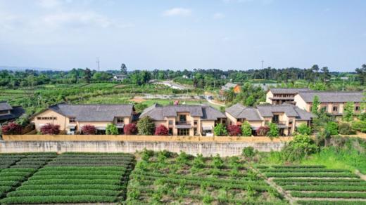 【蒲江明月村-133号院】单房、3房、7房小院。在这里你可以拥有最悠闲自在的时光DZ 商品图0