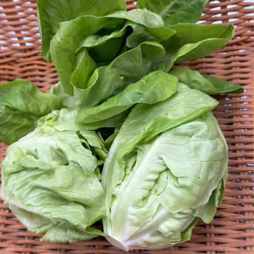 【自营】高原有机牛油生菜 250g  ±10g 商品图0