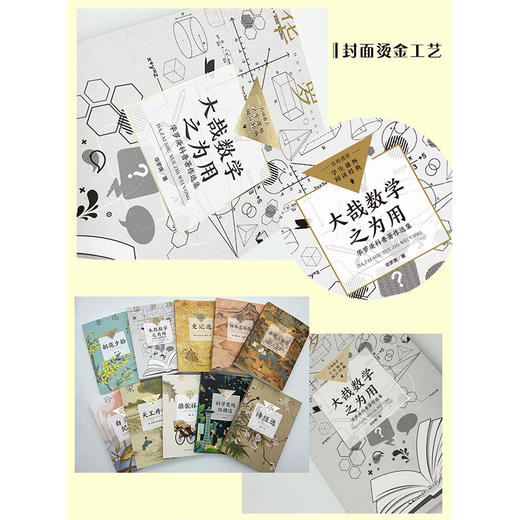 大哉数学之为用 华罗庚科普著作选集 商品图2