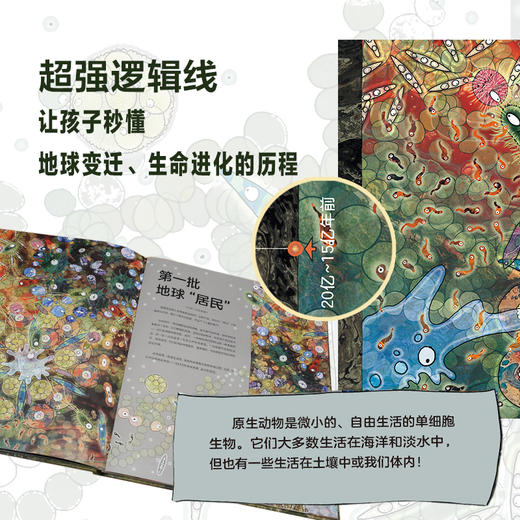 生命的历程 商品图2