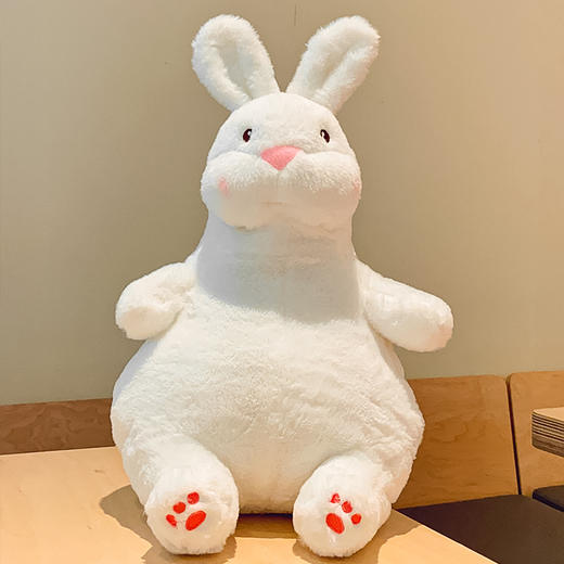 【送礼佳品！可爱小兔子公仔】 抱枕玩偶小熊兔子毛绒玩具布娃娃 慵懒兔礼物，温柔迷人的笑容，让人不禁想要拥抱一整年-QQ 商品图5