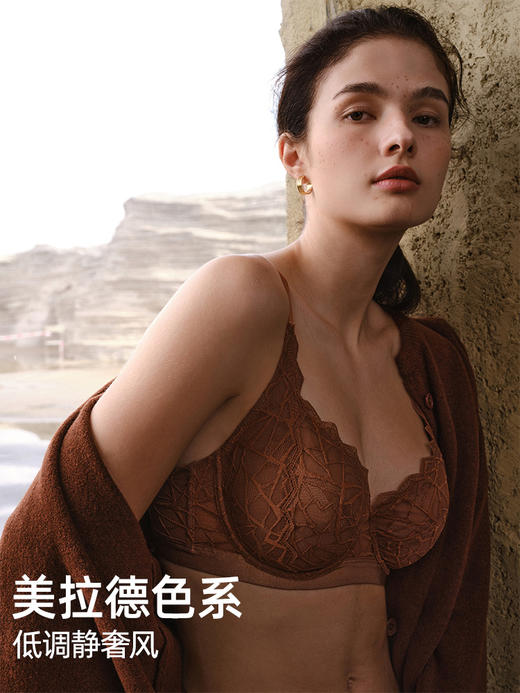 HSIA遐内衣女全罩杯微聚拢胸罩静奢风三角斑纹轻薄大胸显小文胸 商品图4