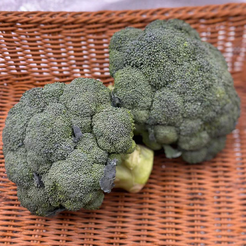 【自营】高原有机西兰花