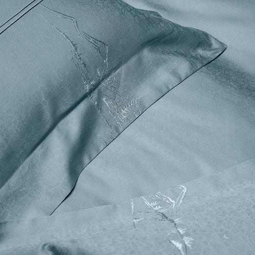 6F堂皇长绒棉四件套—沐霜华 商品图0