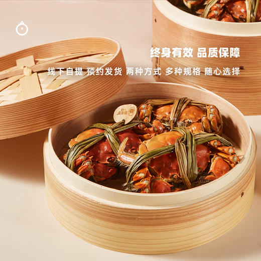 企鹅吃喝 x 杨桂珍联名 太湖大闸蟹礼盒包装  鲜活螃蟹 多规格可选 商品图4