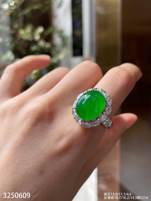 老坑玻璃种艳绿蛋面戒指【3250609】具体价格微信咨询 商品图5