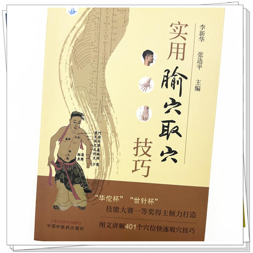 实用腧穴取穴技巧 李新华 张选平 主编 中国中医药出版社 图文讲解401个穴位快速取穴技巧 针灸学 临床 书籍 商品图3
