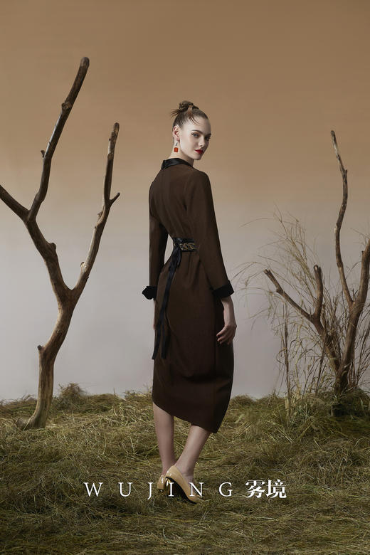 3203052 幽褐怀金 进口双色混织亮丝斜纹连衣裙 雾境 商品图2