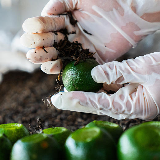 维稷 Moonshot 礼盒 商品图8