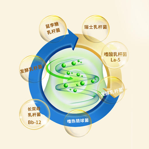 白云山敬修堂儿童成人多种益生菌骆奶营养粉 商品图2