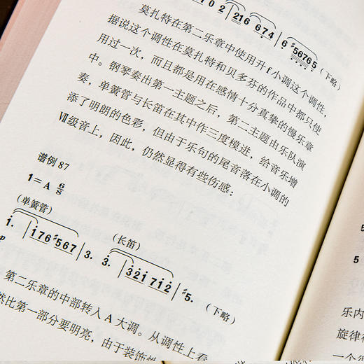 外国音乐欣赏丛书 全28册 人民音乐出版社 亨德尔 巴赫 海顿 莫扎特 贝多芬 舒伯特 柏辽兹 格林卡等等 商品图4