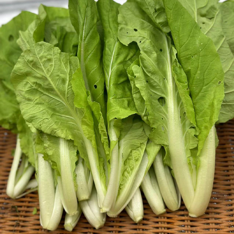 【自营】高原有机杭白菜 250g  ±10g