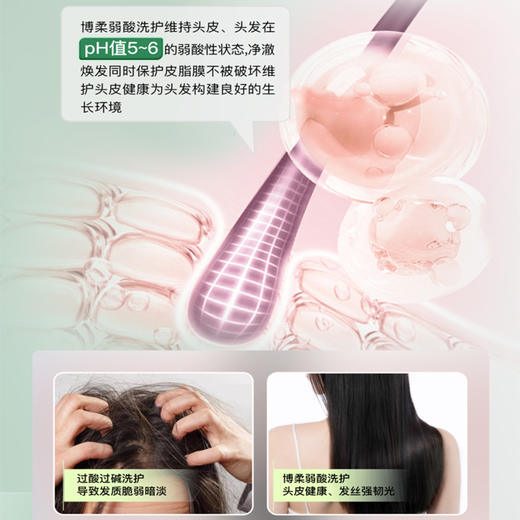 【新升级】博柔洗发水控油蓬松头皮护理毛囊清洁控油洗发水女持久控油去油 商品图3