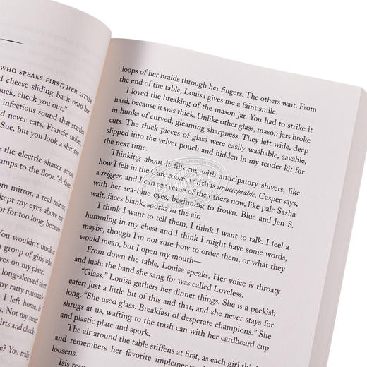 【中商原版】支离破碎的女孩 Girl in Pieces 英文原版 Kathleen Glasgow 青春都市小说 商品图2