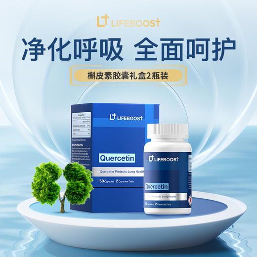 槲皮素胶囊 肺部健康 支持免疫力 商品图0