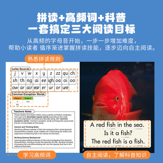 Junior 科普解码分级绘本童书阅读原版故事 商品图4