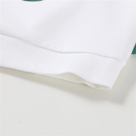 【实体店同款】男童圆领长袖卫衣2023年秋季新款安奈儿童装XB341816 商品图8