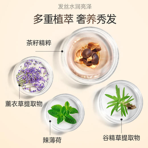 滋源茶籽控油去屑护发素(油性)	535ml 商品图2