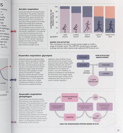 【中商原版】DK科学百科系列之Hiit科学 Science of Hiit  Anatomy Physiology to Transform Your Body 英文原版 Ingrid S Clay 商品图4