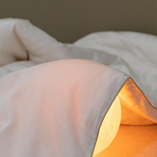 6F堂皇铂金大豆纤维被二代 商品图3