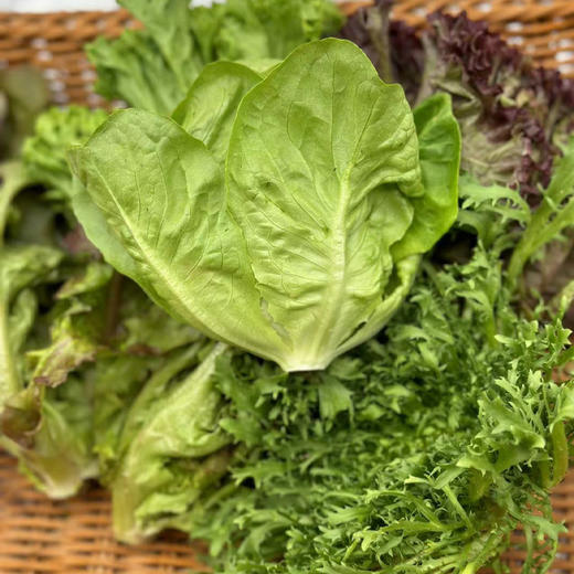 【自营】高原有机沙拉菜 200g  ±10g 商品图1