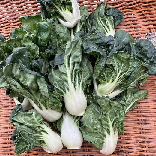 【自营】高原有机奶白菜 250g ±10g 商品图0