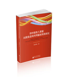 农村低收入家庭从脱贫走向共同富裕实践研究