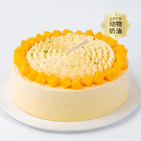 【清甜多汁】芒芒雪山蛋糕，香甜多汁新鲜芒果（上海幸福西饼蛋糕）