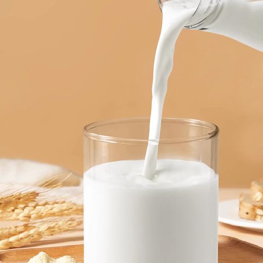 1L 妙可蓝多纯牛奶 全脂灭菌乳 咖啡打奶泡奶茶店早餐奶餐饮牛奶 商品图1