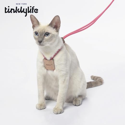 Tinklylife 自然十合一防水牵引胸背 商品图4