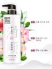 100年润发冷萃国风洗发露【480ml】 商品缩略图2