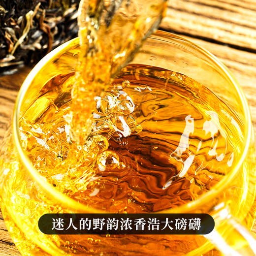 【旧衙门】23年头春头采古茶易武斗茶大会金奖原料易武北大门被遗忘的“亚特兰蒂斯”拍5发6 商品图9