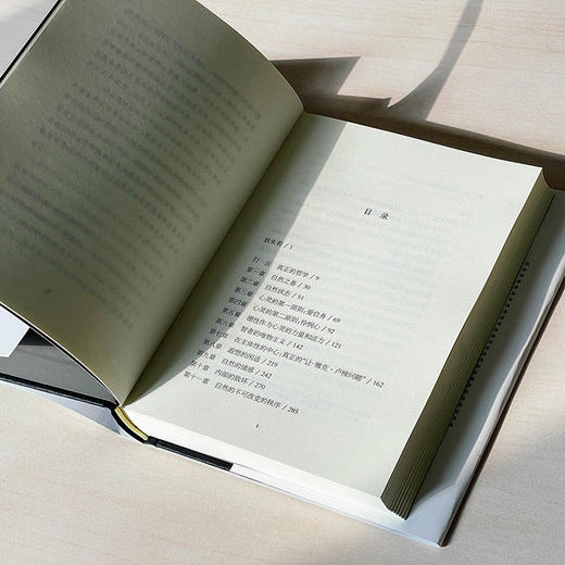 卢梭 一种心灵的哲学 轻与重文丛 生命现象学 心灵哲学 商品图6