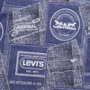 LEVIS 冬 大童小童 儿童童装卫衣 LVB-FW-J730 商品缩略图3