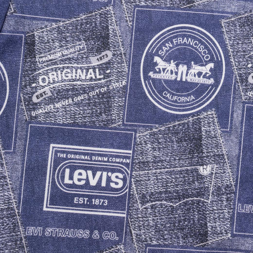 LEVIS 冬 大童小童 儿童童装卫衣 LVB-FW-J730 商品图3