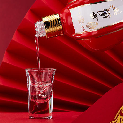 西凤酒 窖藏名品 52度 绵柔凤香型白酒500ml*1瓶 商品图3